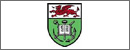 Swansea University's Logo
